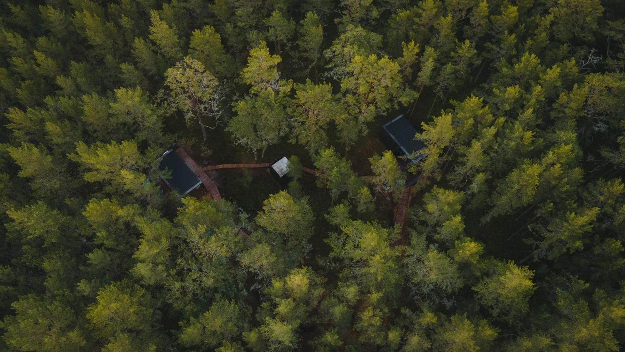 Oeoed Hoetels Lohusalu Leida & Enno Laulasmaa Exterior foto